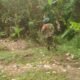 Koramil Pakjo Patroli Karhutla di Bukit Baru, Tidak Ditemukan Hotspot Baru