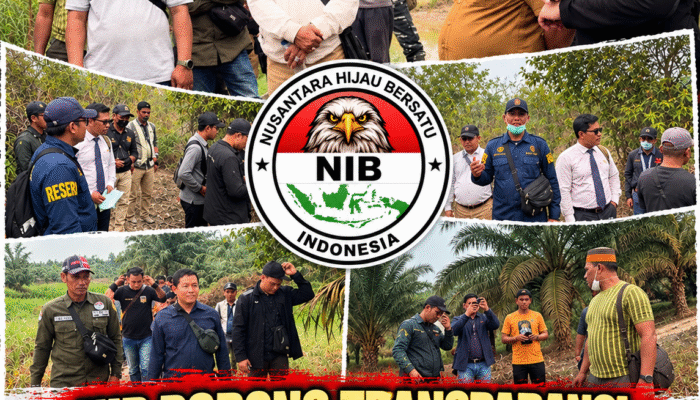 NIB Dorong Transparansi Penanganan Perkara Lahan Nurdin Patokkong, Ketum NIB Harapkan Kepastian Hukum